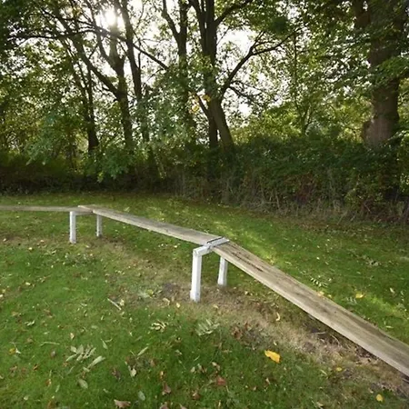 Shih Tzu Apartamento *