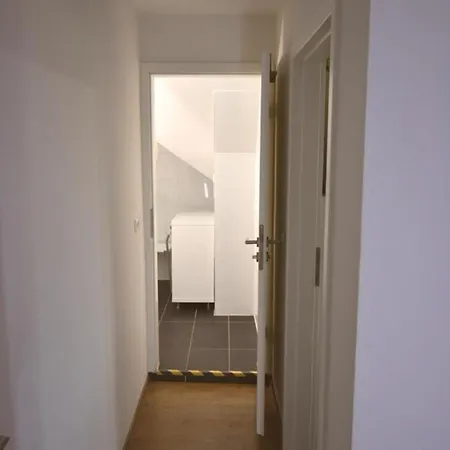 Apartment Shih Tzu *