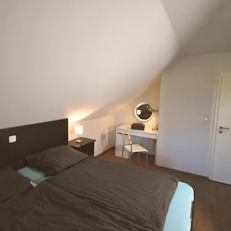 Shih Tzu Apartment