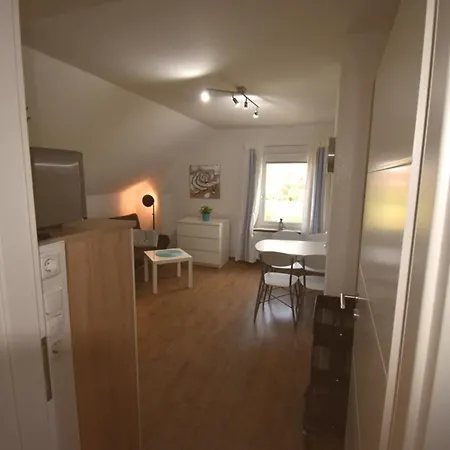 Shih Tzu Apartment