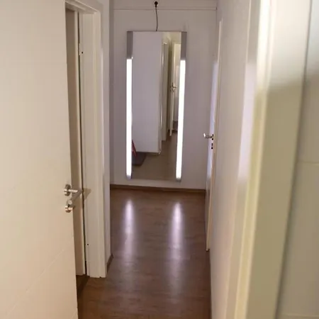 Shih Tzu Apartamento