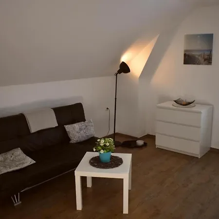 Lejlighed Shih Tzu *