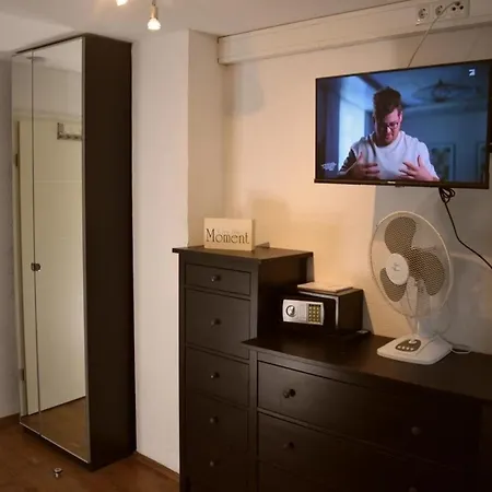 Shih Tzu Lejlighed *