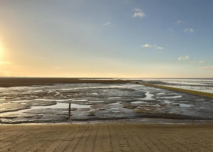 Shih Tzu Appartement Dornum