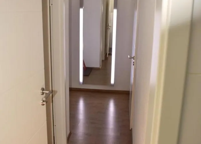 Shih Tzu Appartement