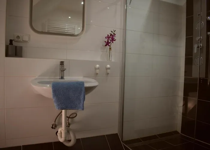 Appartement Shih Tzu