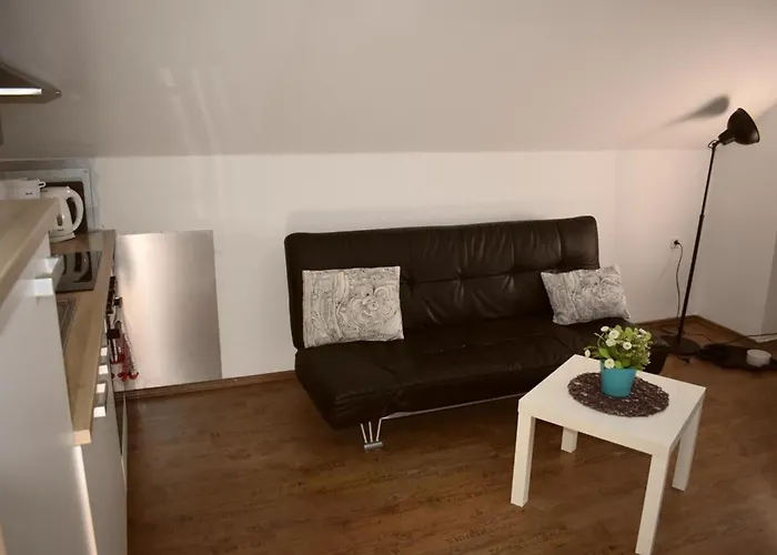 Shih Tzu Appartement