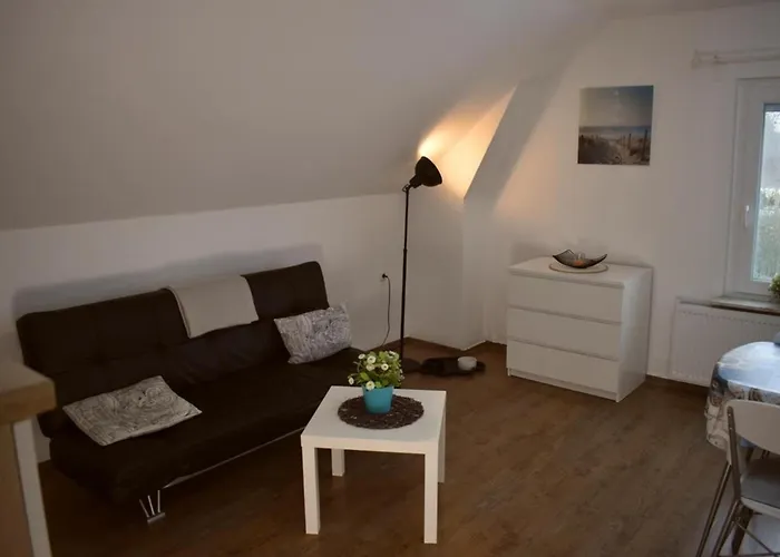 Appartement Shih Tzu *